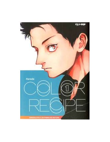 COLOR RECIPE 1 (di 2)