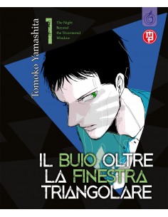 IL BUIO OLTRE LA FINESTRA TRIANGOLARE 1 (di 10)