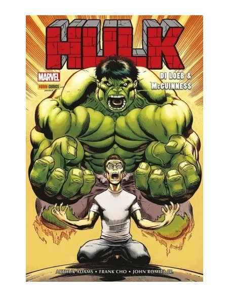 MARVEL OMNIBUS HULK DI JEPH LOEB & ED MCGUINNESS