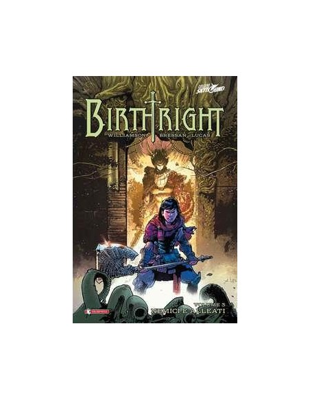 BIRTHRIGHT 3 - EDIZIONE CARTONATA - NEMICI E ALLEATI