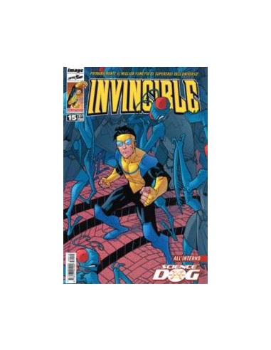 INVINCIBLE 15