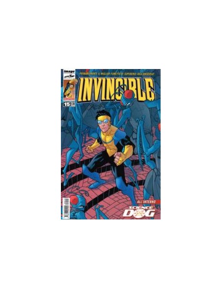INVINCIBLE 15