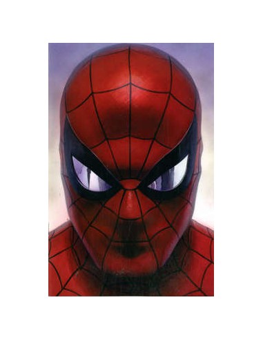 SPIDER-MAN 700 VARIANT - AMAZING SPIDER-MAN 51