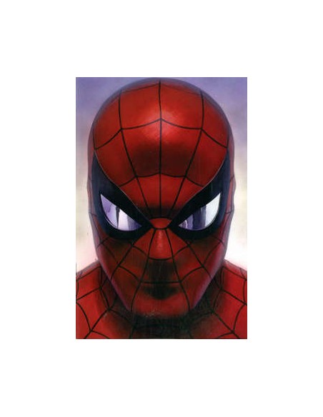 SPIDER-MAN 700 VARIANT - AMAZING SPIDER-MAN 51