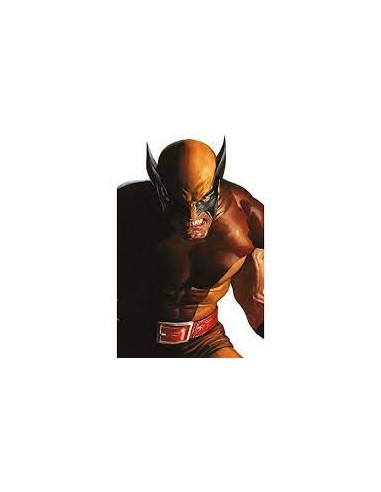 WOLVERINE 410 - CLASSIC VARIANT DI ALEX ROSS - WOLVERINE 9