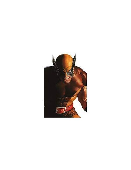 WOLVERINE 410 - CLASSIC VARIANT DI ALEX ROSS - WOLVERINE 9