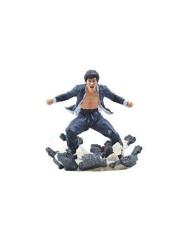 BRUCE LEE GALLERY EARTH PVC STATUE
