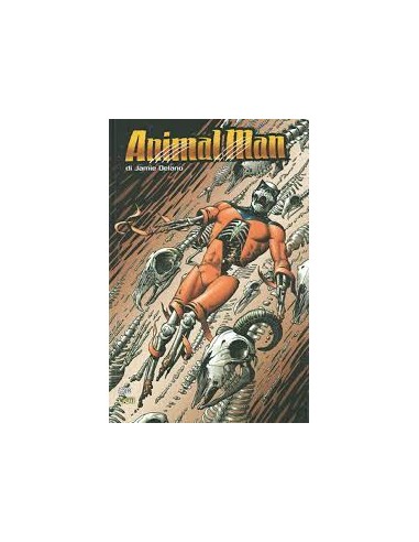 ANIMAL MAN DI JAMIE DELANO 1  VERTIGO CLASSIC 39