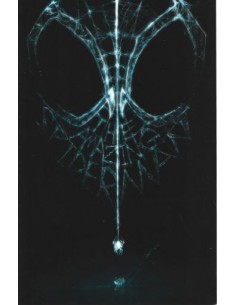 SPIDER-MAN 788 - VARIANT - AMAZING SPIDER-MAN 79