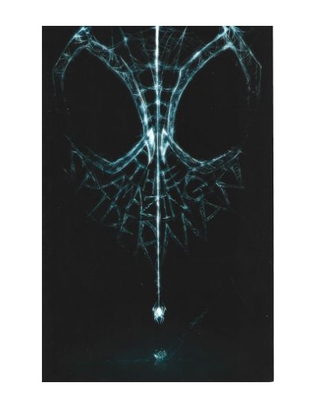 SPIDER-MAN 788 - VARIANT - AMAZING SPIDER-MAN 79