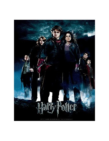 HARRY POTTER E IL CALICE DI FUOCO POSTER 3D