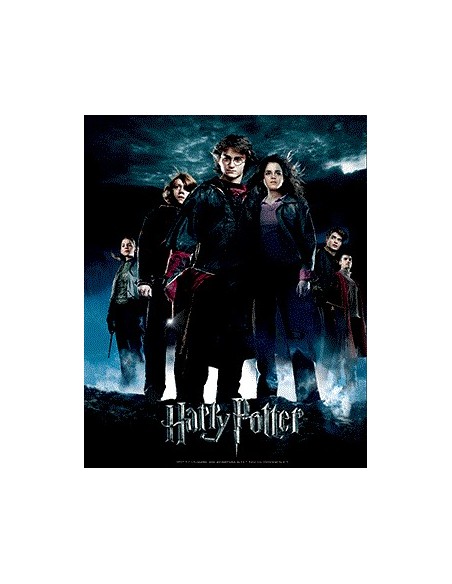 HARRY POTTER E IL CALICE DI FUOCO POSTER 3D