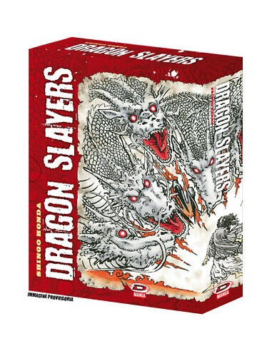 DRAGON SLAYERS COLLECTOR`S BOX