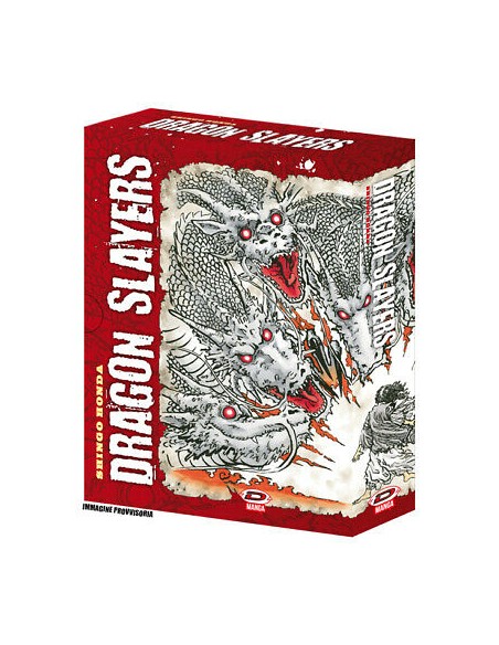 DRAGON SLAYERS COLLECTOR`S BOX