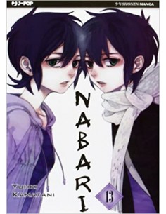 NABARI 13