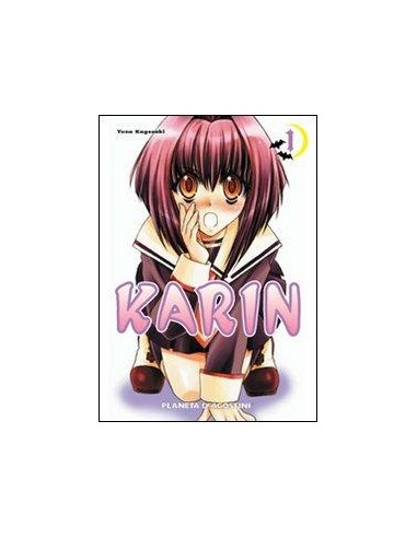 KARIN 1
