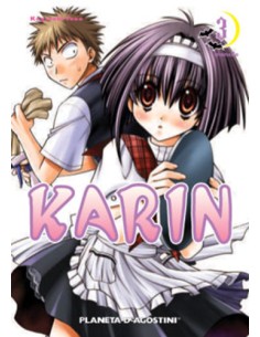 KARIN 3