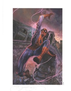 SIMONE BIANCHI LITOGRAFIA SPIDERMAN