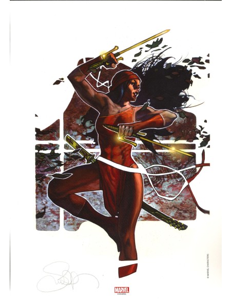 SIMONE BIANCHI LITOGRAFIA ELEKTRA