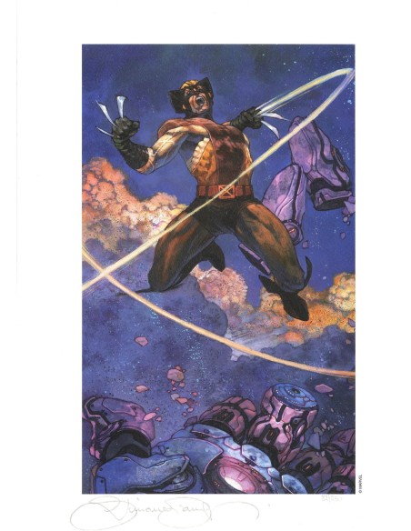 SIMONE BIANCHI LITOGRAFIA WOLVERINE