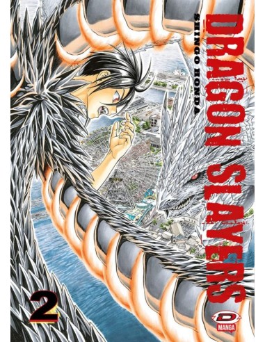 DRAGON SLAYERS 2
