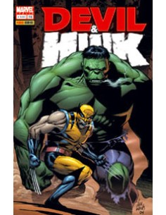 DEVIL & HULK 116