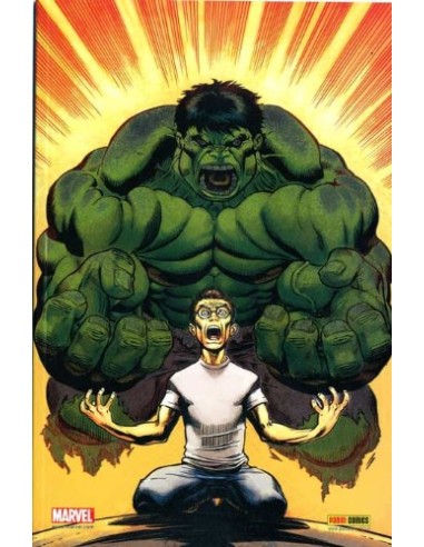 DARK REIGN LA LISTA - DEVIL & HULK - VARIANT COVER - MARVEL MINISERIE 103
