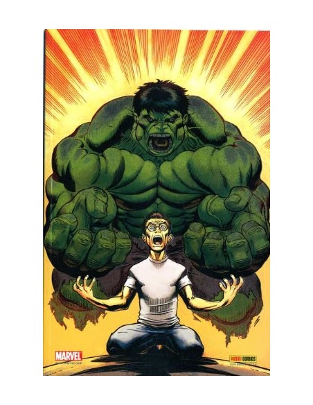 DARK REIGN LA LISTA - DEVIL & HULK - VARIANT COVER - MARVEL MINISERIE 103