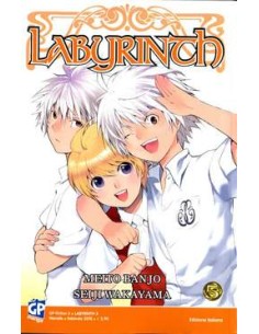 LABYRINTH 5  (DI 8) GP FICTION 5