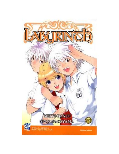 LABYRINTH 5  (DI 8) GP FICTION 5