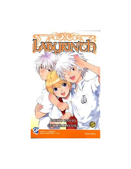 LABYRINTH 5  (DI 8) GP FICTION 5