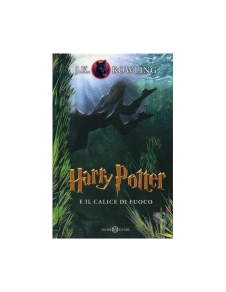 HARRY POTTER   E IL CALICE DI FUOCO 4