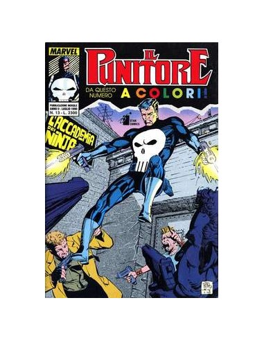 IL PUNITORE 13