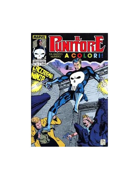 IL PUNITORE 13