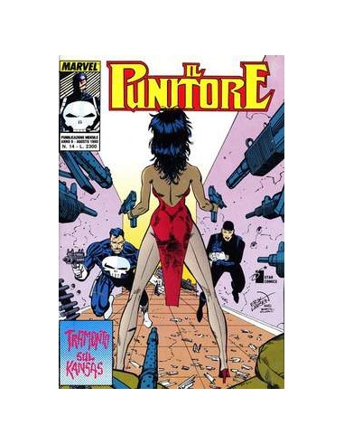 IL PUNITORE 14