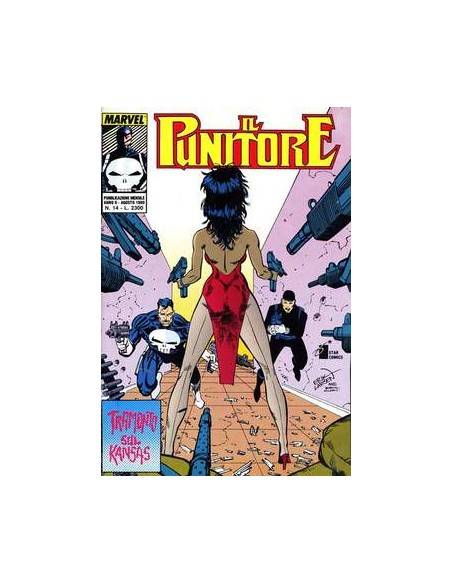 IL PUNITORE 14