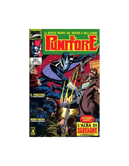 IL PUNITORE 25
