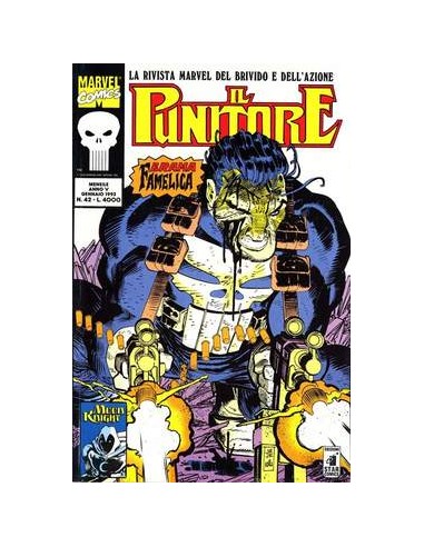IL PUNITORE 42