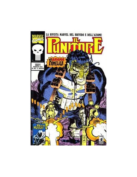 IL PUNITORE 42