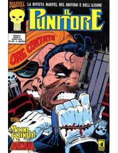 IL PUNITORE 45