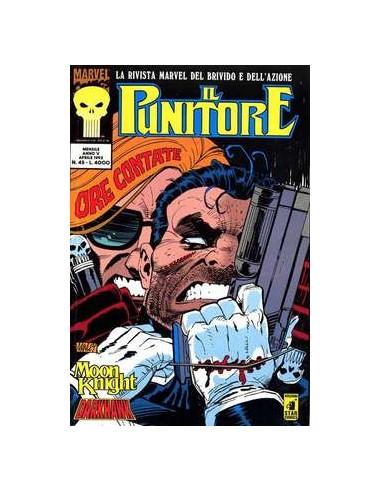 IL PUNITORE 45