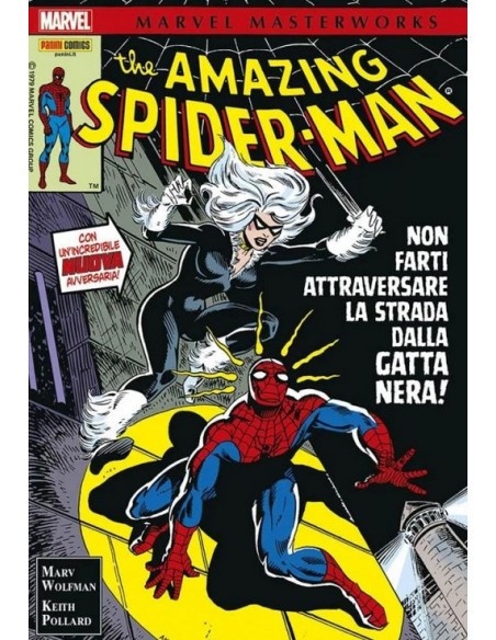 MARVEL MASTERWORKS SPIDER-MAN 19