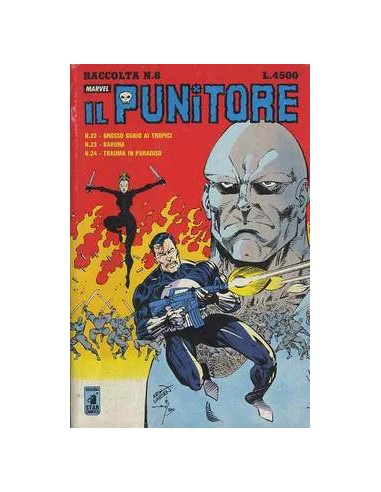 RACCOLTA IL PUNITORE 8