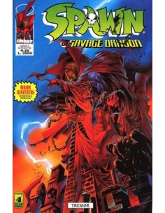 SPAWN E SAVAGE DRAGON 22