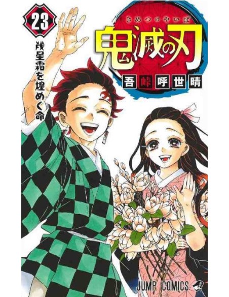 DEMON SLAYER VOL. 23 EDIZIONE GIAPPONESE