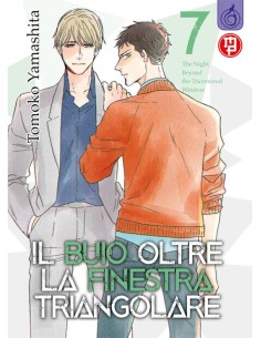 IL BUIO OLTRE LA FINESTRA TRIANGOLARE 7 (di 10)