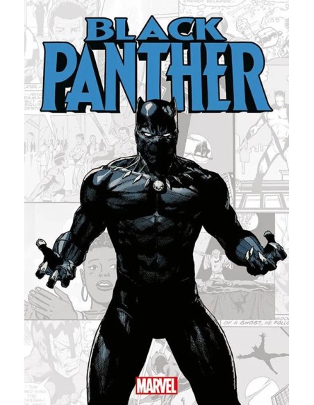 MARVEL-VERSE BLACK PANTHER