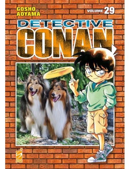 DETECTIVE CONAN NEW EDITION 29