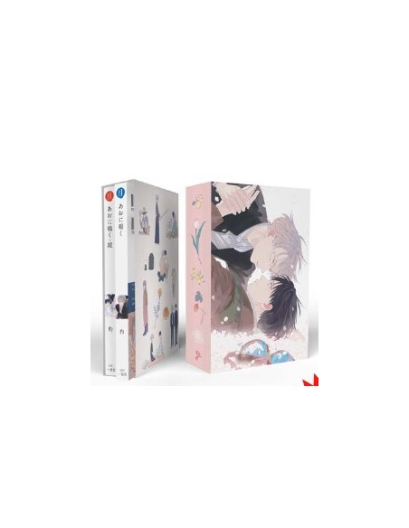 IN THE FLOW OF TIME BOX - QUEER 50