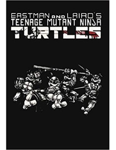 COFANETTO TEENAGE MUTANT NINJA TURTLES (PIENO) VERSIONE...
